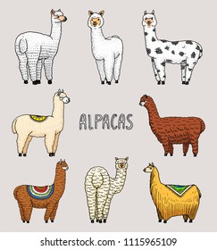 Set of cute Alpaca Llamas or wild guanaco on the background of Cactus and mountain. Funny smiling animals in Peru for cards, posters, invitations, t-shirts. Hand drawn Elements. Engraved sketch.