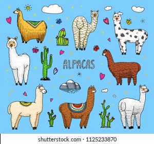 Set of cute Alpaca Llamas or wild guanaco on the background of Cactus and mountain. Funny smiling animals in Peru for cards, posters, invitations, t-shirts. Hand drawn Elements. Engraved sketch.