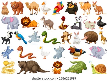 Set of cute animal illustration