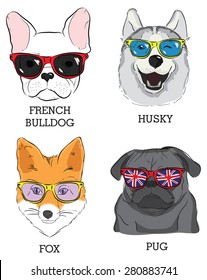 set with cute animal muzzles.French Bulldog, Husky, a fox, a pug