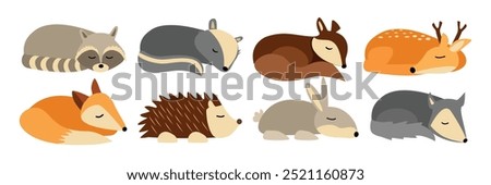 Set of cute animal sleeping. Collection of autumn sleeping animals. Colorful animal sleep illustration. Racoon. Deer. Fox. Rabbit. Squirrel. Hedgehog. Hibernate animal.