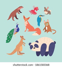 set of cute animals in blue background vector illustration design