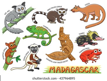 Set of cute animals cartoon in the Madagascar areas isolated on white background.