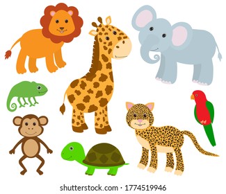 
Set Cute animals lion elephant giraffe parrot chameleon turtle leopard monkey vector illustration