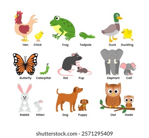 Set of Cute animals mom and baby cartoon set collection poster education, parent and baby animal couples set with hen, chick, frog, toad, duck, duckling, rat, pup, rabbit, kitten, owl, owlet.