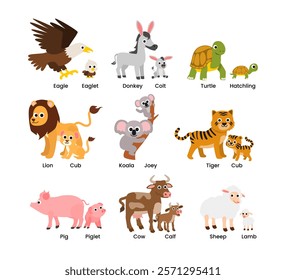 Set of Cute animals mom and baby cartoon set collection poster education, parent and baby animal couples set eagle, eaglet, donkey, colt, lion, cub, pig, piglet, cow, calf, sheep, lamb.