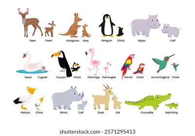 Set of Cute animals mom and baby cartoon set collection, poster education, parent and baby animal couples set with deer, fawn, kangaroo, joey, penguin, chick,hippo, calf, swan, cygnet, goat, kid.