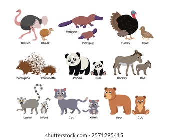 Set of Cute animals mom and baby cartoon set collection poster education, parent and baby animal couples set with ostrich, cheek, turkey, poult, cat, kitten, bear, cub, lemur, infant.