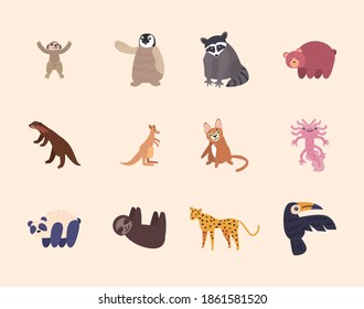 set of cute animals in white background vector illustration design