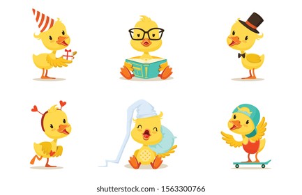 Set Of Cute Animated Chickens In Different Poses Vector Illustration Cartoon Character