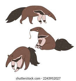 Set of cute anteaters isolated on white background. Vector graphics.