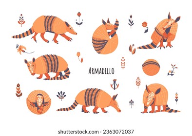 Set of cute armadillos. Vector illustration isolated on white background