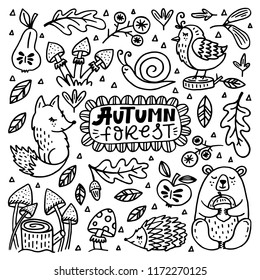 Set of cute autumn cartoon characters, plants and fruits. Fall season. Forest animals. Collection of doodle outline  elements for coloring book, children design.