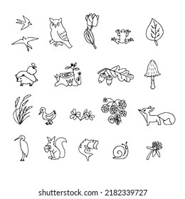 Set of cute autumn cartoon characters, plants and fruits. Fall season. Forest animals. Collection of doodle outline elements.