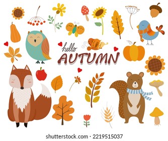 Set of cute autumn cartoon characters, autumn set with elements (pumpkin, leaves, berries, mushrooms) and cute forest animals.