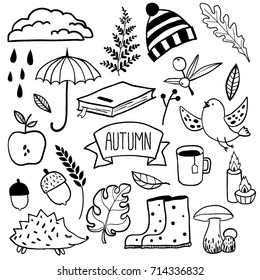 Set of cute autumn cartoon characters and elements. Fall season. Objects set for design