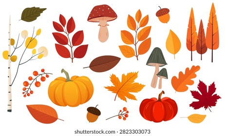 Set of a cute autumn elements. Autumn big collection with botanicals, trees, differents plants and leaves, mushroom, pumpkins, berries. Vector illustration for fall season.