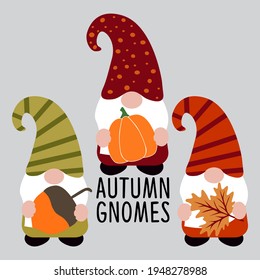 Set of Cute autumn gnomes, vector illustration