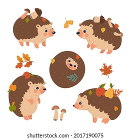 Conjunto de preciosos erizos de otoño aislados en un fondo blanco. Gráficos vectoriales.