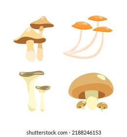 Set of cute autumn illustrations of different types of mushrooms