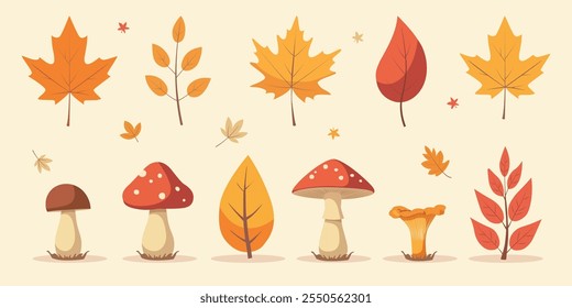 set of Cute autumn leaves and mushrooms. Vector illustration of hand drawn seasonal objects isolated on white background. Hello autumn.