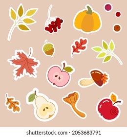 Set of cute autumn pictures: apple, mushrooms, leaves, pumpkin, acorn. Isolated icons, stickers