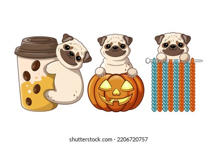 Set of cute autumn pugs. Vector illustration. Isolate on white background, pug with coffee, pug and knitting, pug with pumpkin.