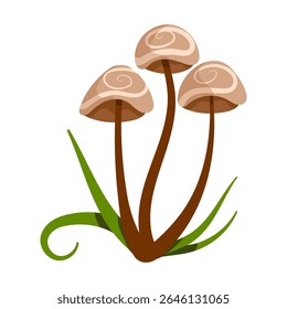 Set of cute autumn vector illustrations - mushrooms, fly agaric, leaves. Hand drawn plants. Flat vector graphics.