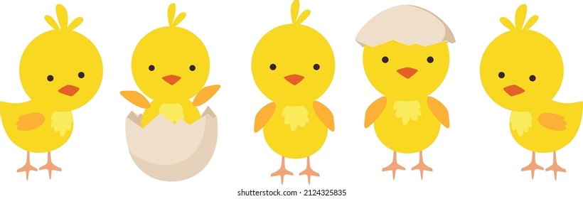 Set of cute baby chickens in different poses for easter design isolated on white background
