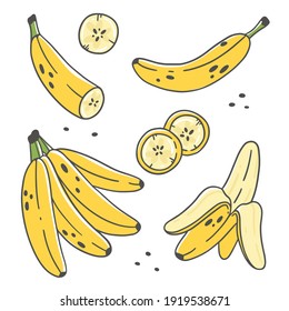 Set of cute bananas in cartoon doodle style isolated on white background. Vector color illustration. Whole, peeled, sliced bananas.