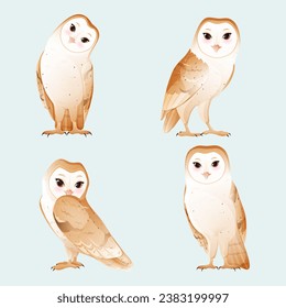 Set of cute barn owl with white face and brown wings. Cartoon flat vector illustration 