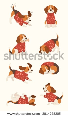 Set of cute beagle dogs in red winter sweaters doing various activities, isolated on white background, vector illustration.