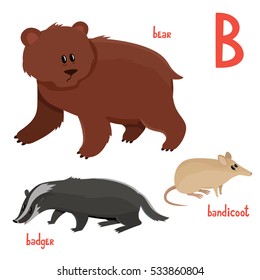Set of cute bear, badger, bandicoot in cartoon style. Vector illustration of wild animals isolated on white background. Cute zoo alphabet.