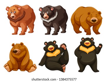Set of cute bears illustration