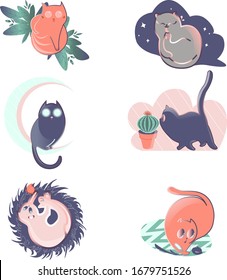 Set of cute beautiful cats