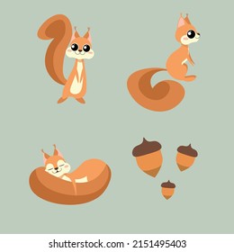 Set of cute and beautiful character squirrels on green background. Vector illustration charming animals in different poses front and side view, sleeping and acorns near in cartoon style.
