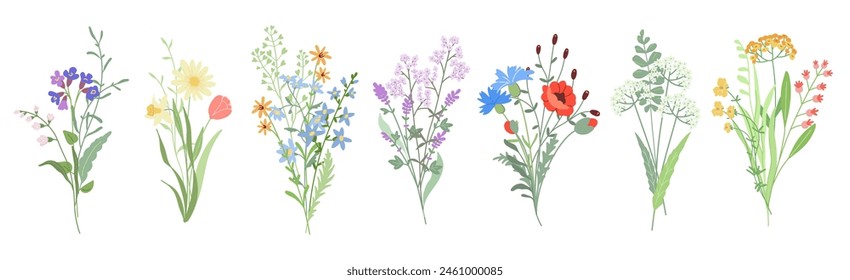 Set of cute beautiful different bouquets with wild flowers and herbs. Compositions of delicate flowering meadow plants, stems, leaves. Floral botanical vector flat decoration