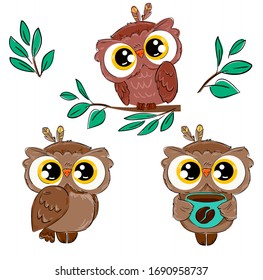 Set with cute beautiful owls Isolated on a white background. Bird print for children. Vector illustration.