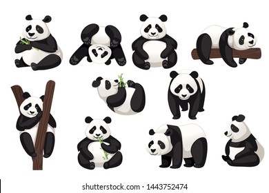 Set of cute big panda in different poses cartoon animal design flat vector illustration