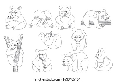 Set of cute big panda in different poses cartoon animal design outline style flat vector illustration