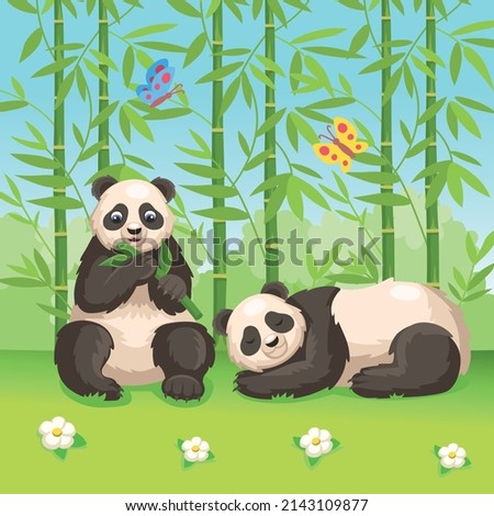 Set of cute big panda. Panda eating bamboo leaves, panda sleeping. Pandas in a clearing in the thickets of bamboo. Vector cartoon illustration.