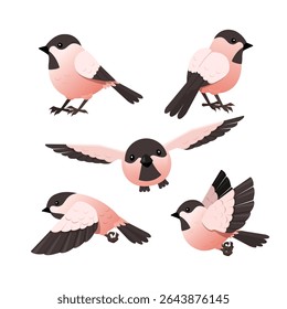set of cute bird in red and black color vector illustration 