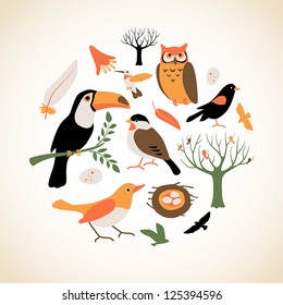 Set of cute bird related icons arranged in a circle.