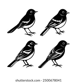 A Set of Cute Bird Silhouette Illustration - Ideal for T-shirt Design, Hoodie Design, Pillow Cover Design, and More