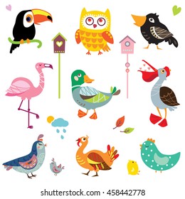A set of cute bird vector illustrations, various types of wildfowl and poultry: toucan, owl, flamingo, duck, pelican, quail, crow, turkey, chicken. Birds' collection