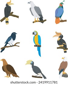 Colección de dibujos animados sobre un conjunto de aves adorables