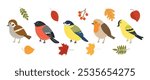 Set of cute birds different breeds, colors. Sparrow, siskin, robin, tit, bullfinch. Autumn birds, leaves and berries. Vector illustration, hand drawn, flat style.