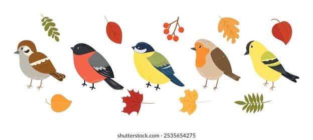 Conjunto de pássaros bonitos diferentes raças, cores. Pardal, siskin, robin, tit, bullfinch. Aves de outono, folhas e bagas. Ilustração vetorial, desenho à mão, estilo plano.