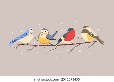Set of cute birds on a branch. Winter vector illustration