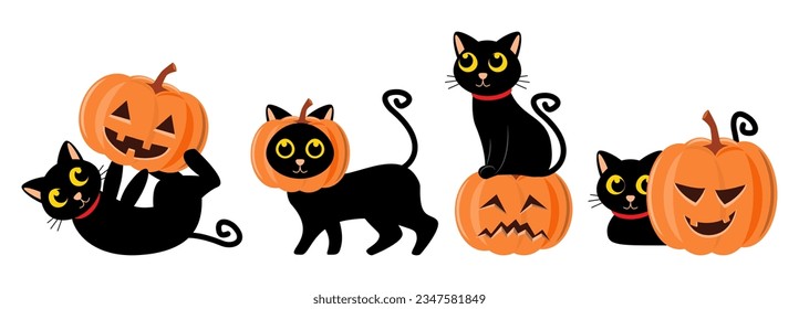 Set of cute black cat and carved pumpkin . Halloween concept . Vector .